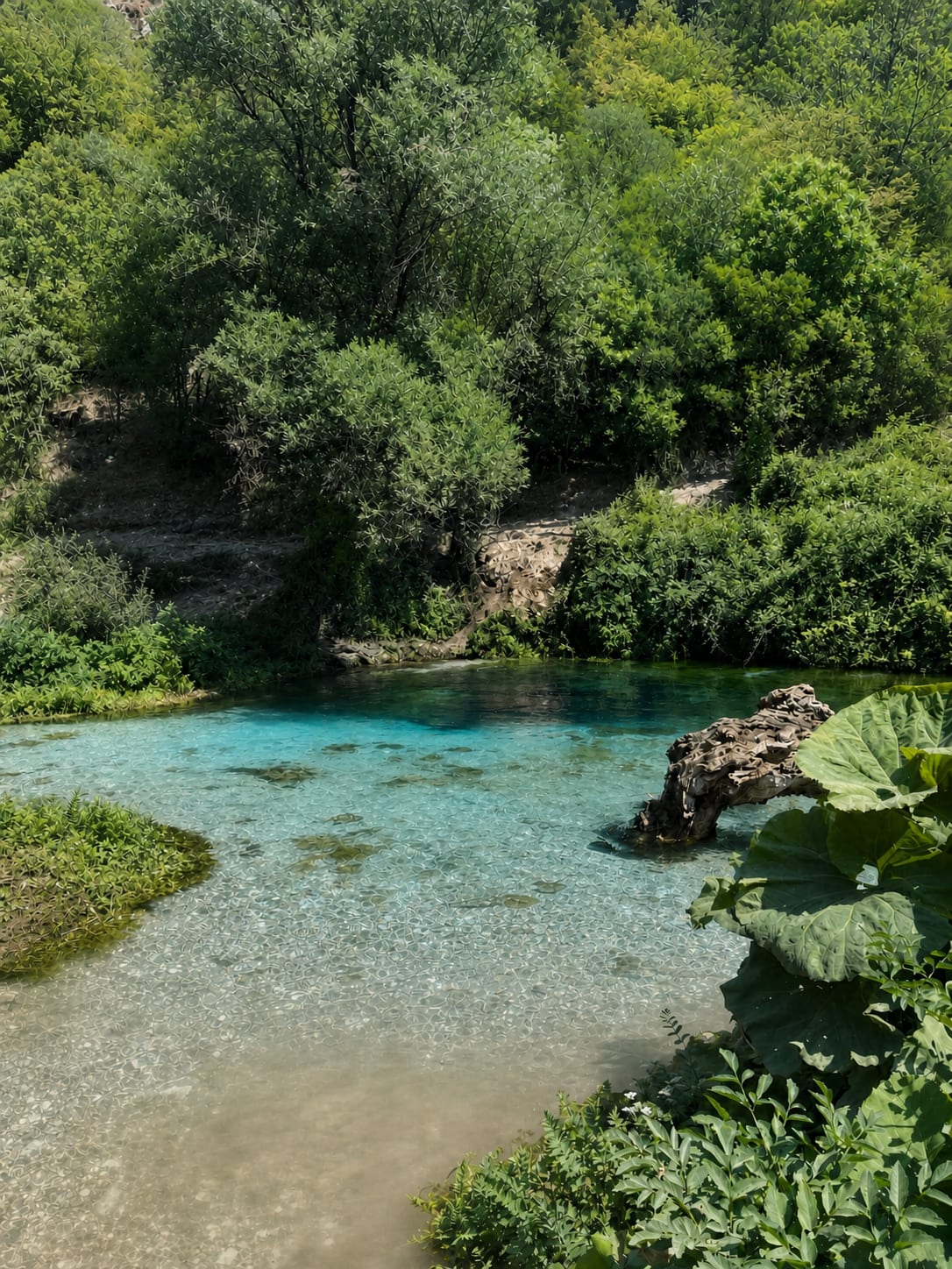 Blue Eye natural spring in Albania