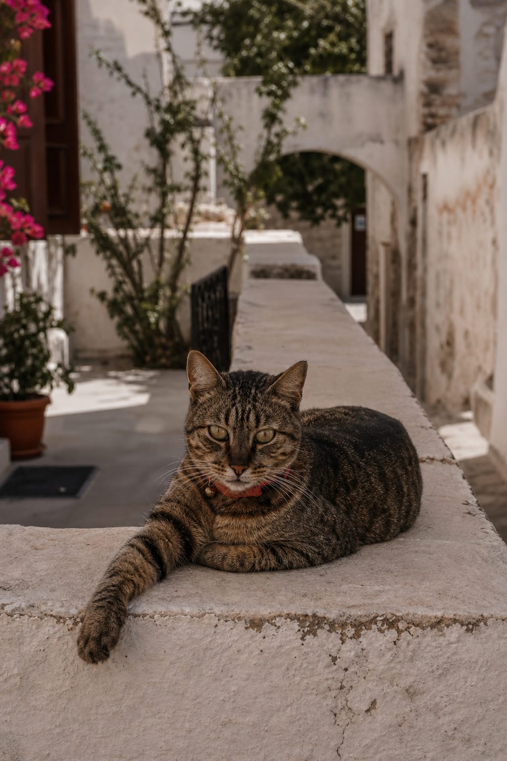 Naxos Old Town with traditional architecture and narrow historic streets.