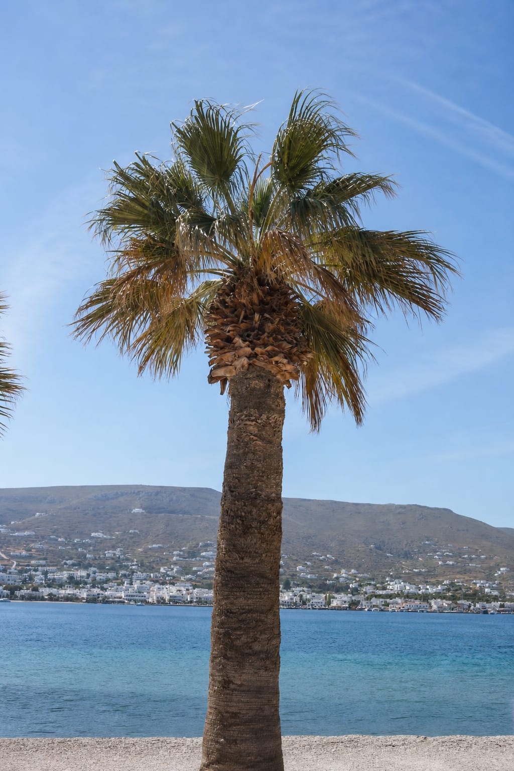 Cabana Beach Club on Paros with a relaxed seaside setting