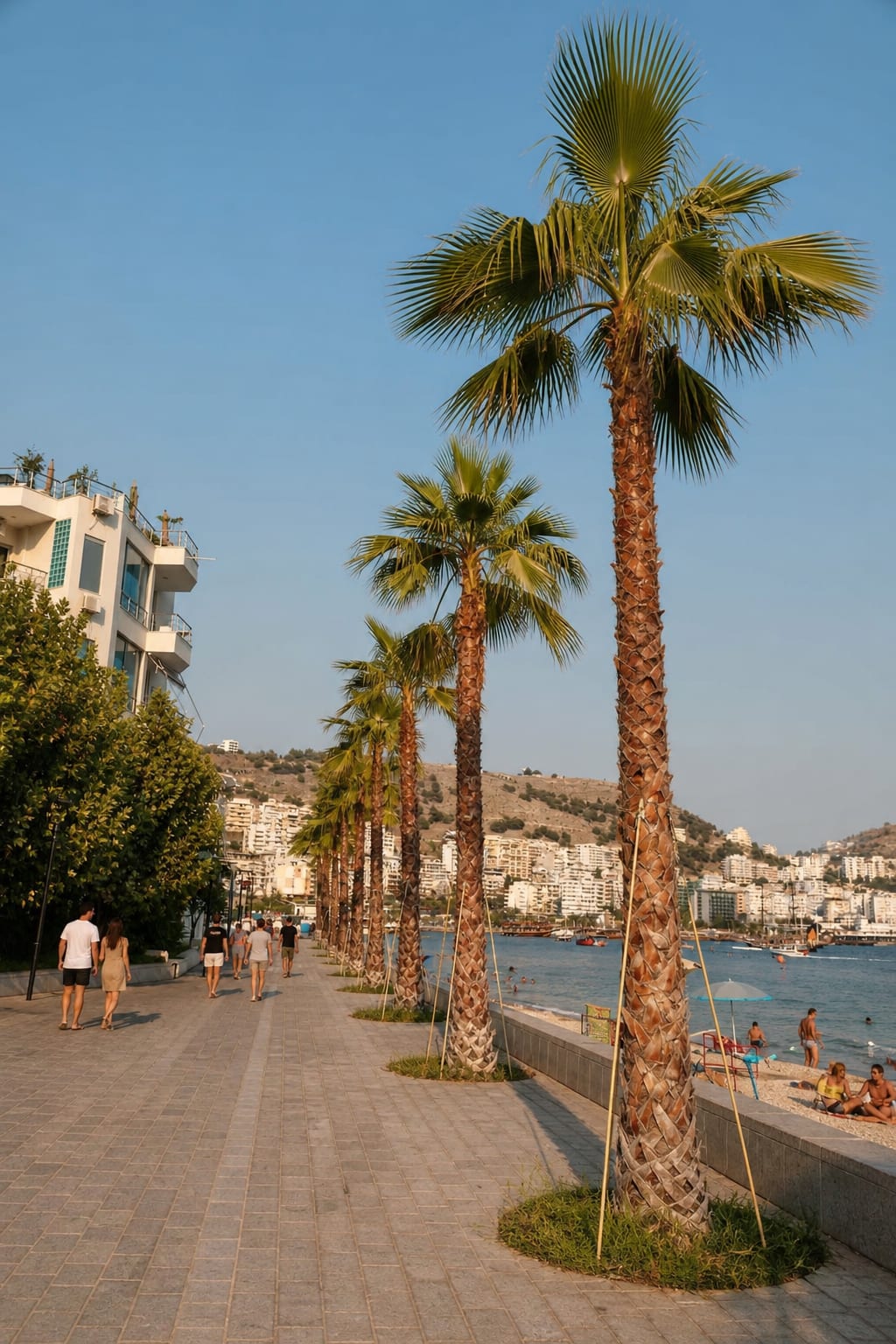 Palm-lined promenade along the waterfront in Sarandë.
